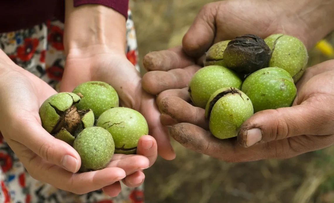 Zwei freizügigkeitskonten trick steuern sparen