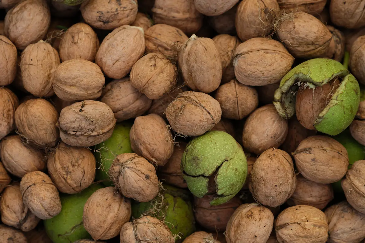 Zwei freizügigkeitskonten: kennst du den wahren trick? 4 Zwei freizügigkeitskonten trick steuern sparen