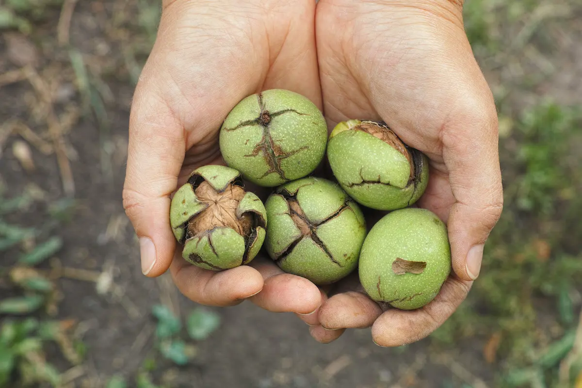 Zwei freizügigkeitskonten: kennst du den wahren trick? 5 Zwei freizügigkeitskonten trick steuern sparen